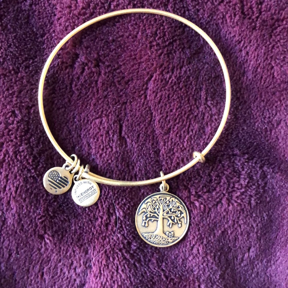 Alex and Ani bracelet